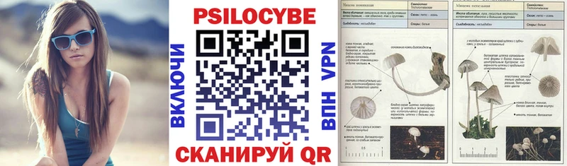 МЕГА зеркало  Балашиха  Псилоцибиновые грибы прущие грибы  где можно купить наркотик 