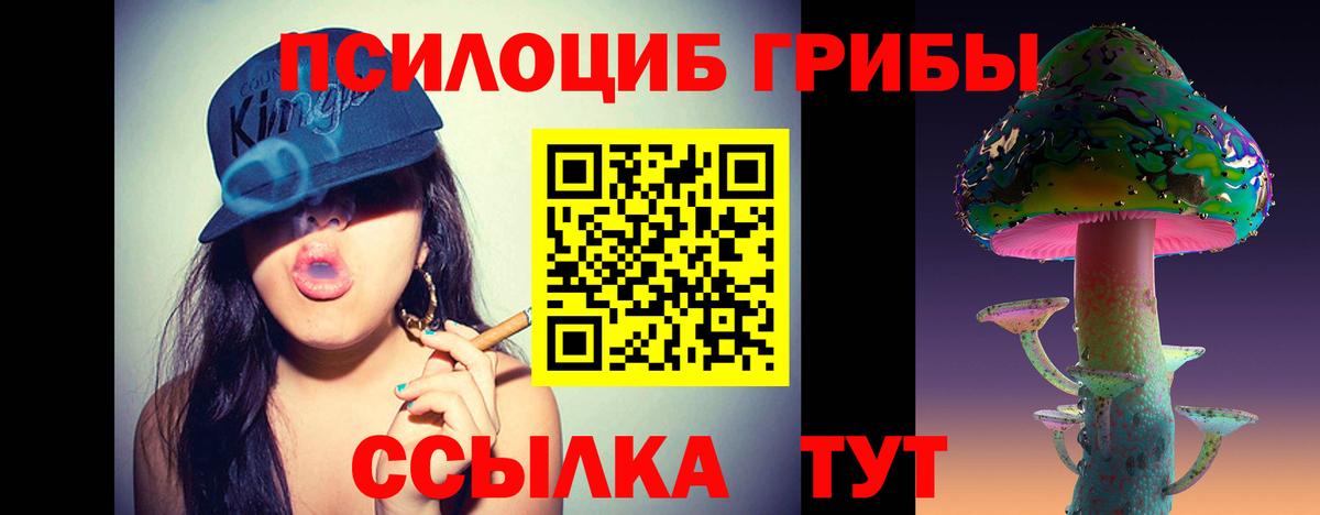 Галлюциногенные грибы Psilocybe Балашиха